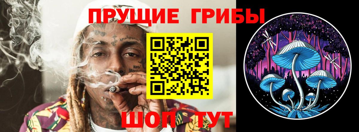 Псилоцибиновые грибы мицелий  Вход с VPN  Барабинск 